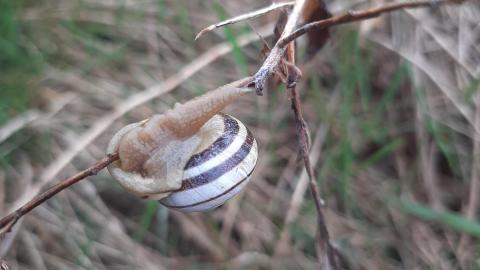 Port Elevator - 20210428_152238.jpg