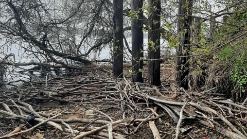 Port Elevator - 20210428_150559.jpg