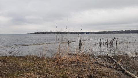 Port Elevator - 20210428_145356.jpg