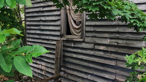 August 2021 - Still Standing - AAFFB44F-DBFB-46AF-AA75-EE5DD66398B2.jpeg