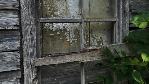 August 2021 - Still Standing - D365EAB6-9F34-4340-9F68-D61EABC5F98D.jpeg