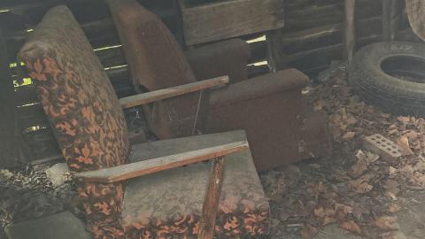 August 2021 - Still Standing - 0B447DBC-88D0-47AC-9D5D-2FF589C6EA92.jpeg