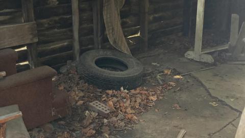 August 2021 - Still Standing - 49841CBF-AC7E-43FF-94B6-5EC4B18C9AC6.jpeg