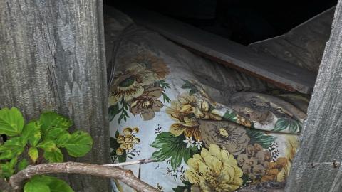 August 2021 - Still Standing - 4ABF49CA-3327-497C-887D-195C90F84A5E.jpeg