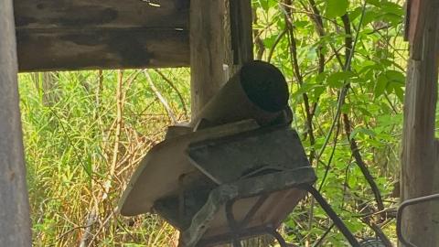 August 2021 - Still Standing - B556564E-8698-488C-9179-18C88D3AEE3B.jpeg