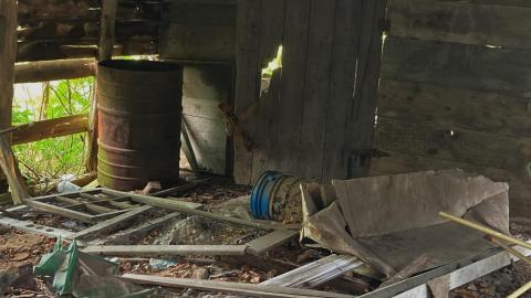 August 2021 - Still Standing - 46032D6D-BA3E-46C4-A9DC-BAD5782D7B5F.jpeg