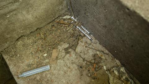 Sharp Objects - _DSC2560.jpg