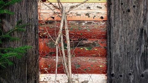 July 2021 - 20210722_161510.jpg