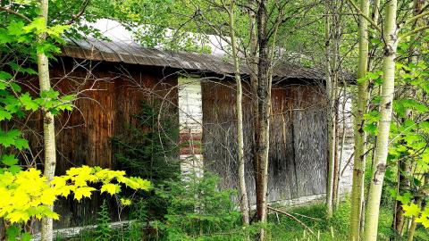 July 2021 - 20210722_161518.jpg