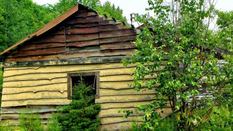 Photo from July 2021