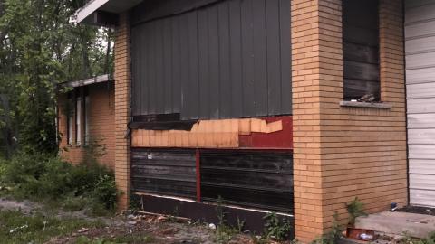 No Luck - IMG-6471.jpg