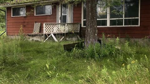 Photo from And Sometimes Like That It Be