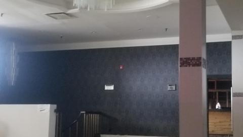 Came quick - 20210731_180508.jpg