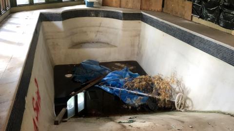 She’s trashed - F48BF98F-8D6C-4429-9486-F009AAC191BA.jpeg