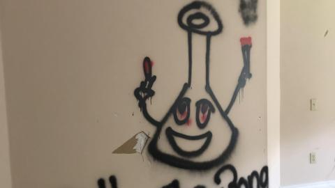 She’s trashed - 5E7893DC-6B10-4CB4-986B-3CBDD073A9D2.jpeg