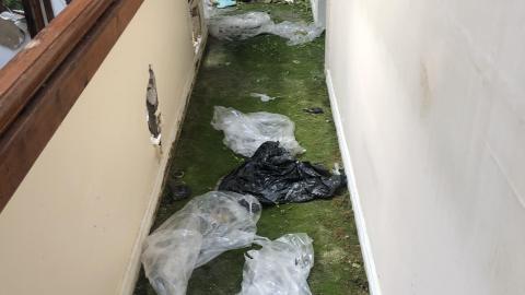 She’s trashed - AD3C7F3F-DFEB-499A-ABF2-9210574FC8BF.jpeg