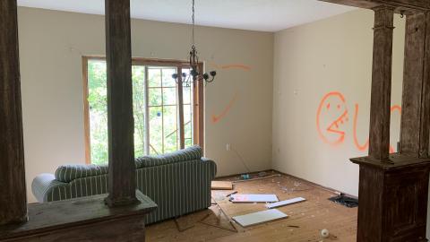Photo from Mmmm Black Mold August 2021