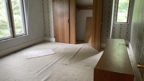 Photo from Mmmm Black Mold August 2021