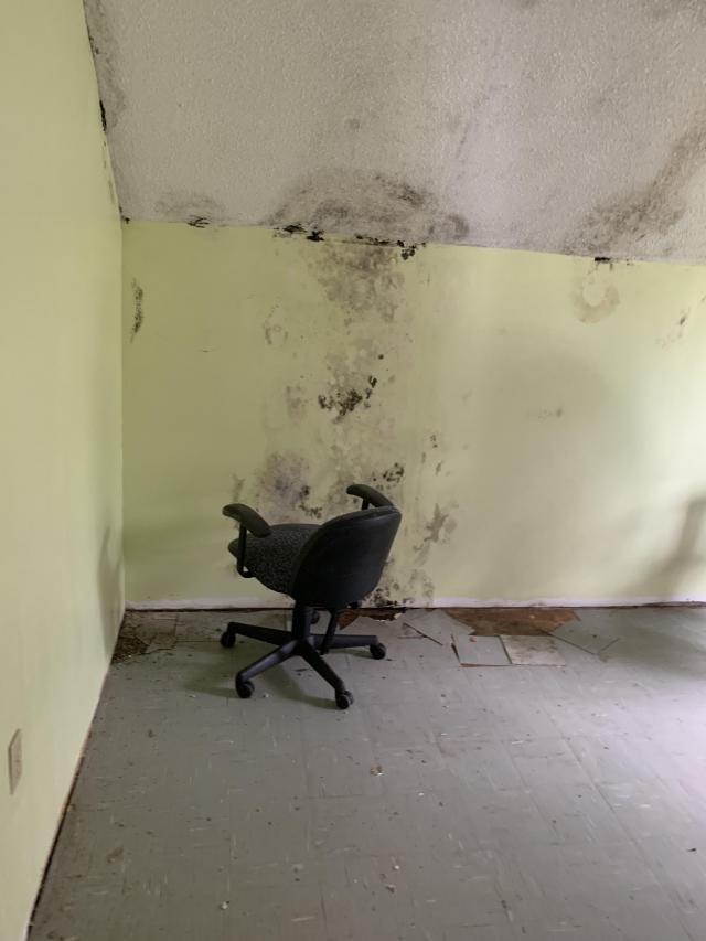 Moldy Staircase Rural House photo 3