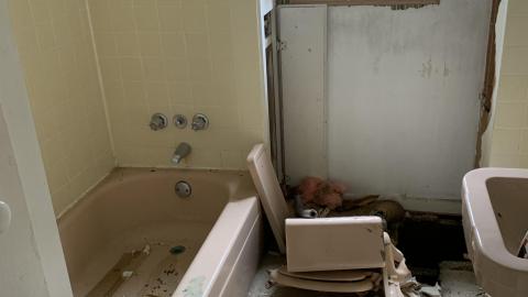 Photo from Mmmm Black Mold August 2021