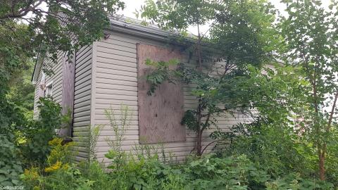 Quick look - 20210813_153458.jpg