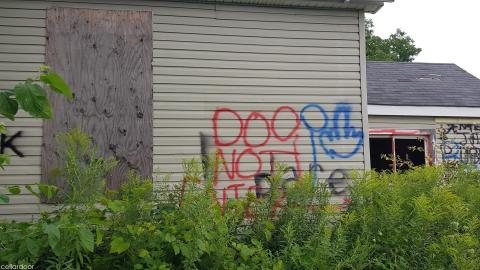 Photo from Quick look