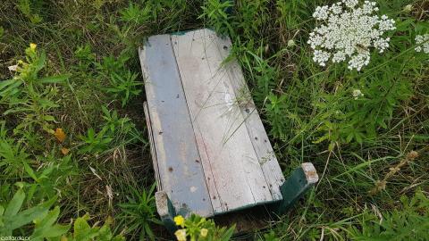 Quick look - 20210813_153558.jpg