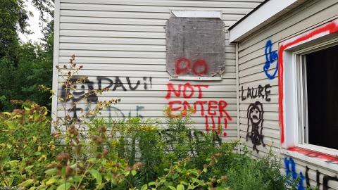 Photo from Quick look