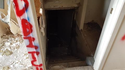 Photo from Quick look