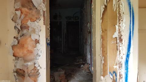 Quick look - 20210813_154009.jpg