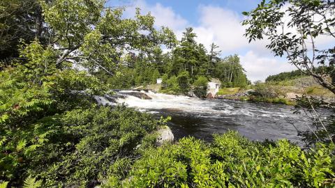Kennebec Falls - 20210810_162102.jpg