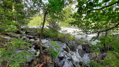 Kennebec Falls - 20210810_161447.jpg