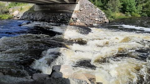 Kennebec Falls - 20210810_161332.jpg