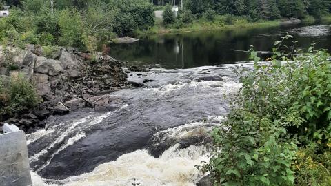 Secord Falls - 20210810_140927.jpg