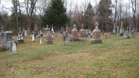 Japanese Martyrs Cemetery photo 3
