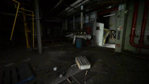 Photo from Basement 2021