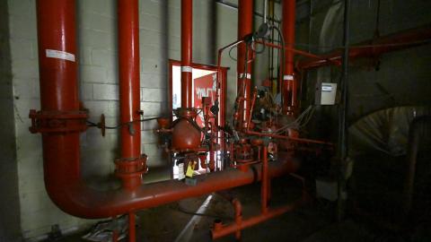 Basement 2021 - _DSC3732.JPG