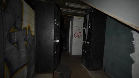 Basement 2021 - _DSC3798.JPG