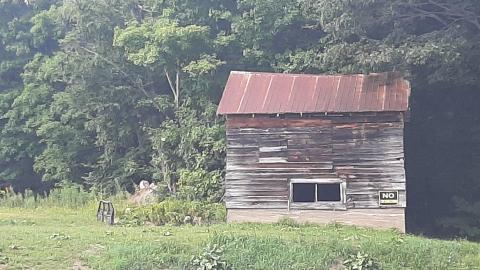 Photo from Coopers Falls Ghost Town