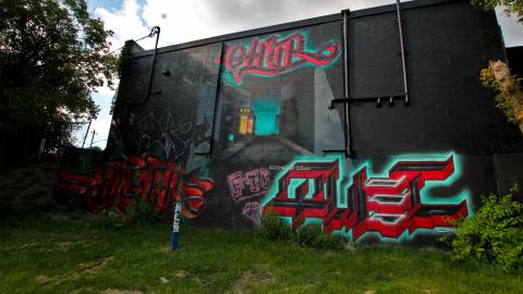 Whats A Step Above IMPENETRABLE? - IMG_4496.JPG