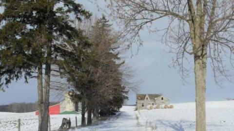 Belfast's Past photo 2