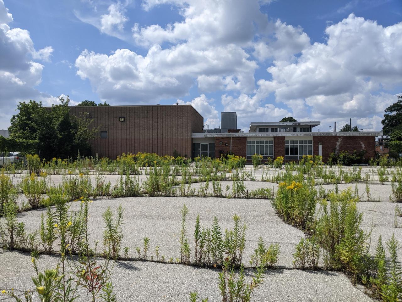 Exteriors - PXL_20210819_171036777.jpg