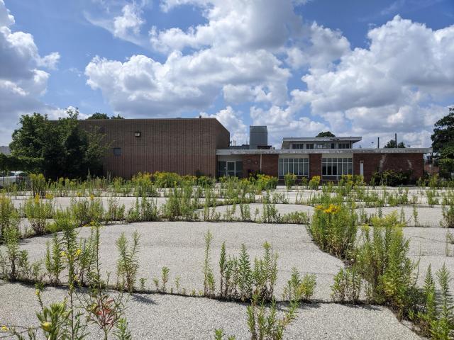 Exteriors - PXL_20210819_171036777.jpg