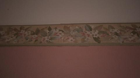 Hiding Behind Colored Glass - IMG_5095.JPG