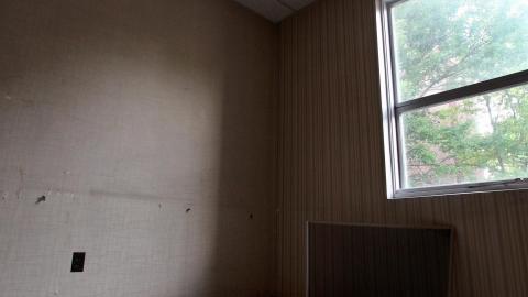 Hiding Behind Colored Glass - IMG_5124.JPG