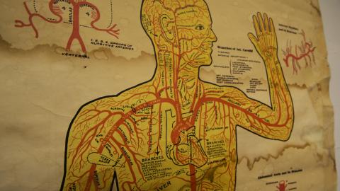 Rest In Peace - May 2017 - 22.jpg