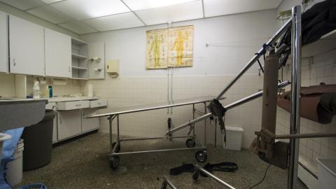 Rest In Peace - May 2017 - 29.jpg