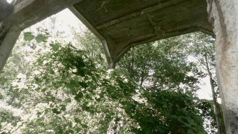 First visit - DSCN5915.jpg