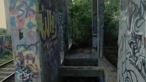 First visit - DSCN5921.jpg