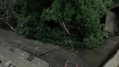 First visit - DSCN5924.jpg